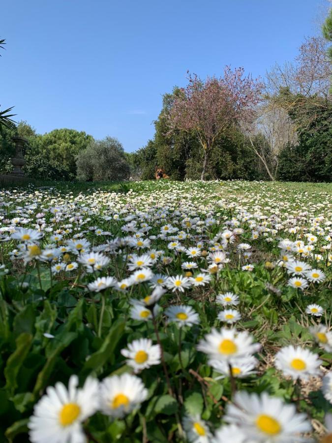 Le Jardin De Lacoste Narbonne Exteriör bild